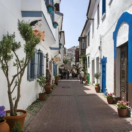 מלון דירות Rodina